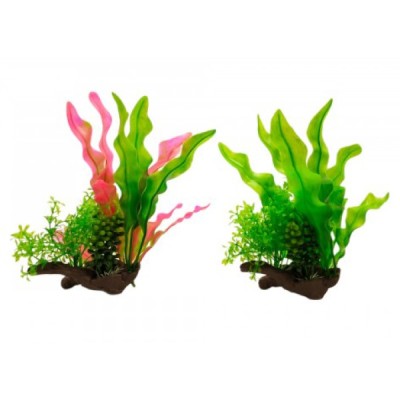 ΔΙΑΚΟΣΜΗΤΙΚΟ ΦΥΤΟ ΕΝΥΔΡΕΙΟΥ 12Χ33CM